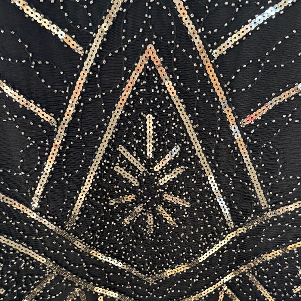 Black and Silver Beaded Flapper Gatsby Dress - Picture 3 of 5